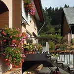 Haus Anita St. Blasien