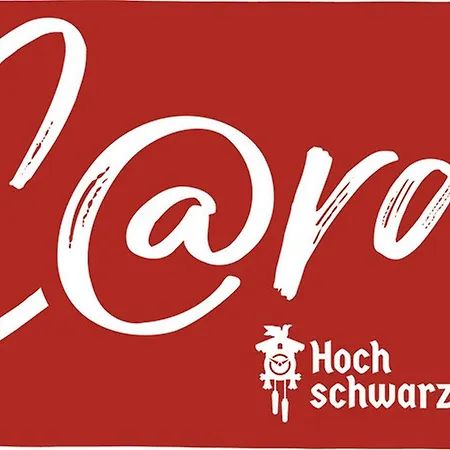 Haus Anita דירה *