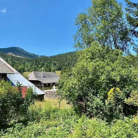 Haus Anita Apartment *