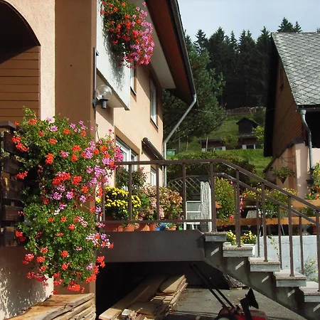 Haus Anita Menzenschwand-Hinterdorf