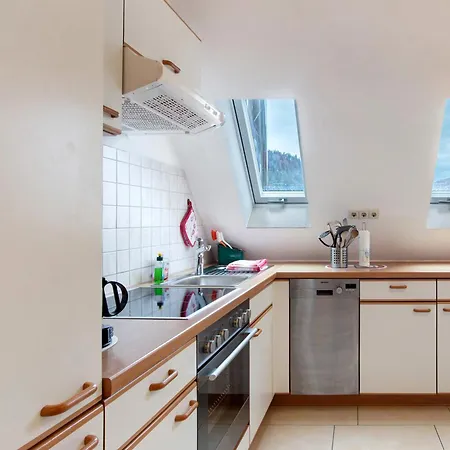 Haus Anita Apartment Menzenschwand