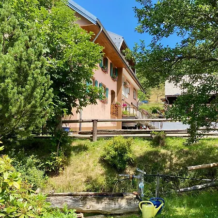 Haus Anita Apartamento St. Blasien